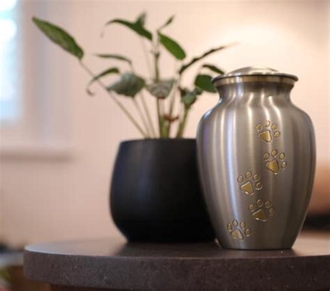 pet cremation adelaide